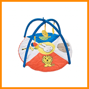 Nijntje babygym De leukste kraamcadeaus voor de geboorte van een baby
