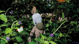 artis Kadotips voor de eerste verjaardag