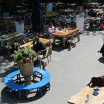 Kindvriendelijke restaurants in Amsterdam - vondeltuin
