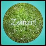 de leukste zomer festivals
