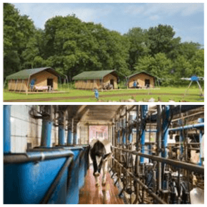 Een overzicht van heel veel leuke idyllische campings in Nederland met kids