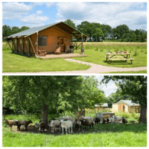 Een overzicht van heel veel leuke idyllische campings in Nederland met kids #leukmetkids FarmCamps Den Branderhorst in Hengelo, Gelderland