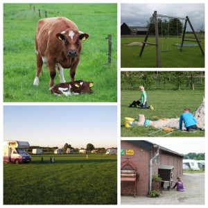 Kampeerhoeve Bussloo