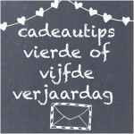 Verjaardagscadeau voor kids van 4 jaar of 5 jaar: leuke cadeau tips voor kleuters