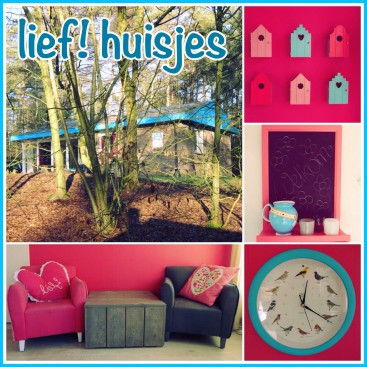 Lief! bungalows op Landal Coldenhove: vrolijke huisjes midden in het Gelderse bos