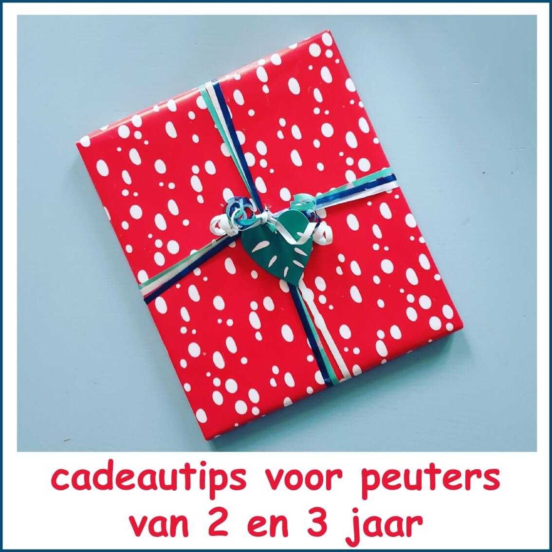 verjaardag: cadeau ideeën voor kinderen van 2 of jaar Leuk met kids