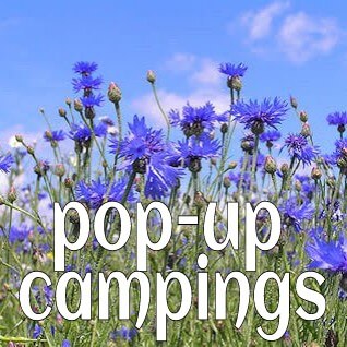 trend: pop up campings.jpg