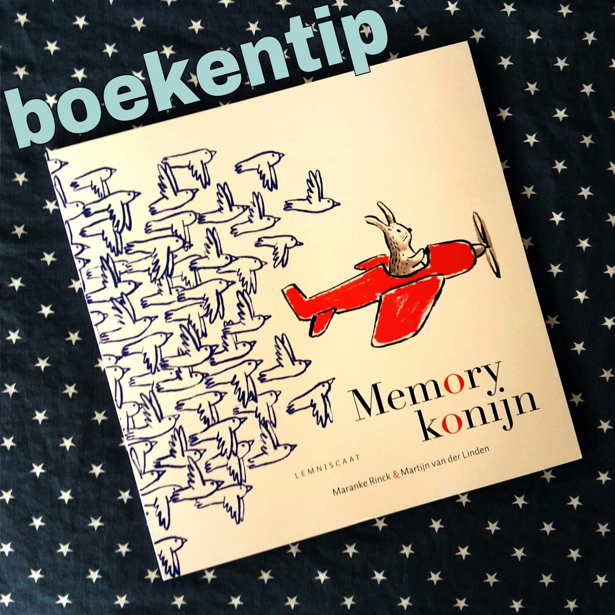 Boekentip: Memorykonijn, boek en spel ineen