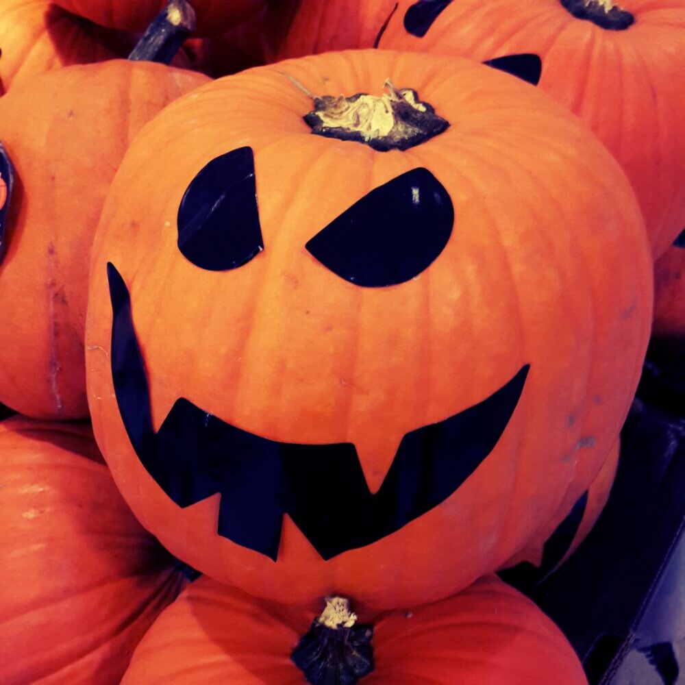 Halloween pompoen knutselen .jpg image