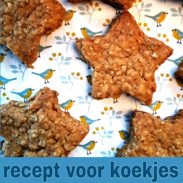 Recept voor koekjes om te bakken met de kinderen