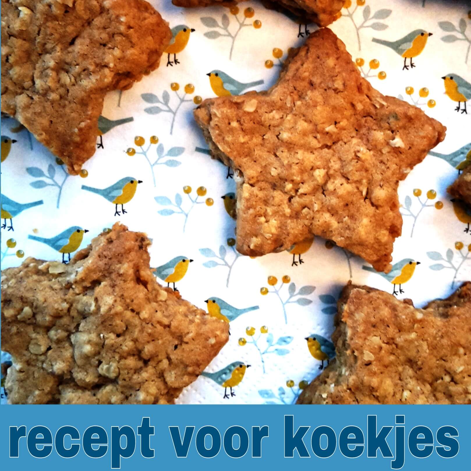 Fonkelnieuw Recept voor koekjes om te bakken met de kinderen - Leuk met kids YW-62