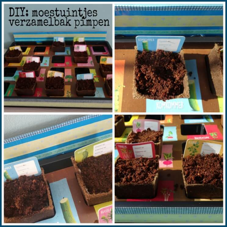 5-tips-zo-zorg-je-dat-de-moestuintjes-het-dit-jaar-beter-doen-2.jpg.jpeg
