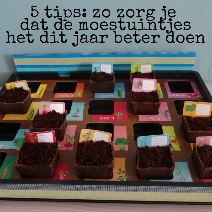 5 tips: zo zorg je dat de moestuintjes het dit jaar beter doen