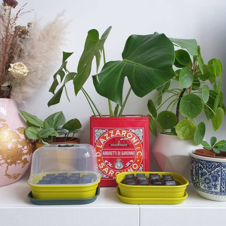 AH bloementuintjes en moestuintjes laten groeien: zo doen ze het beter