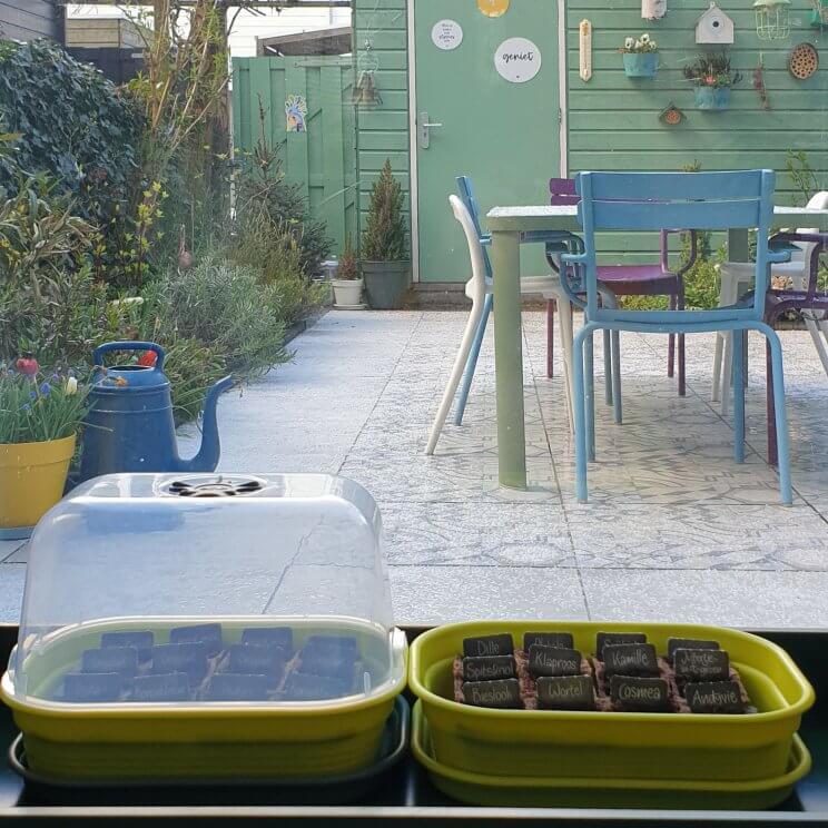 AH bloementuintjes en moestuintjes laten groeien: zo doen ze het beter