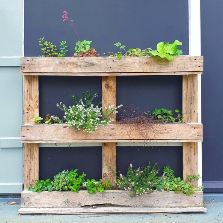 Plantenbakken voor moestuintjes ideeën om te knutselen en uit de winkel. Deze plantenbak gemaakt van pallets is handig voor verticaal tuinieren, fijn als je weinig ruimte hebt. 