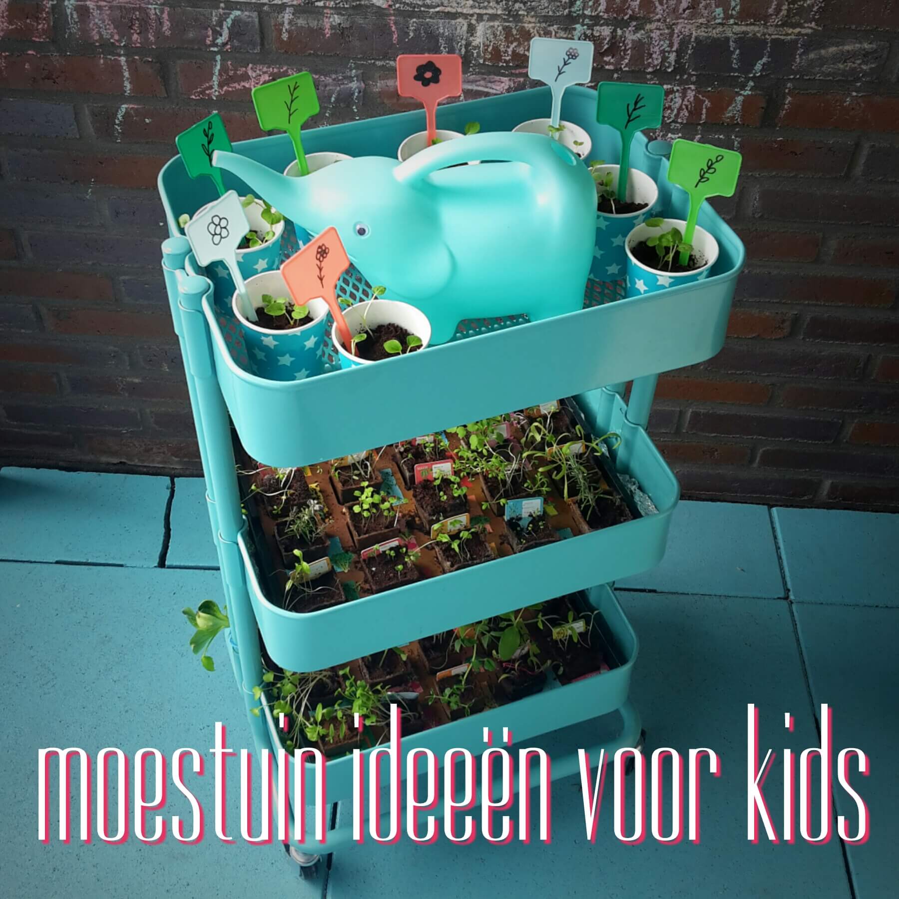 Moestuintje: creatieve ideeën voor kinderen