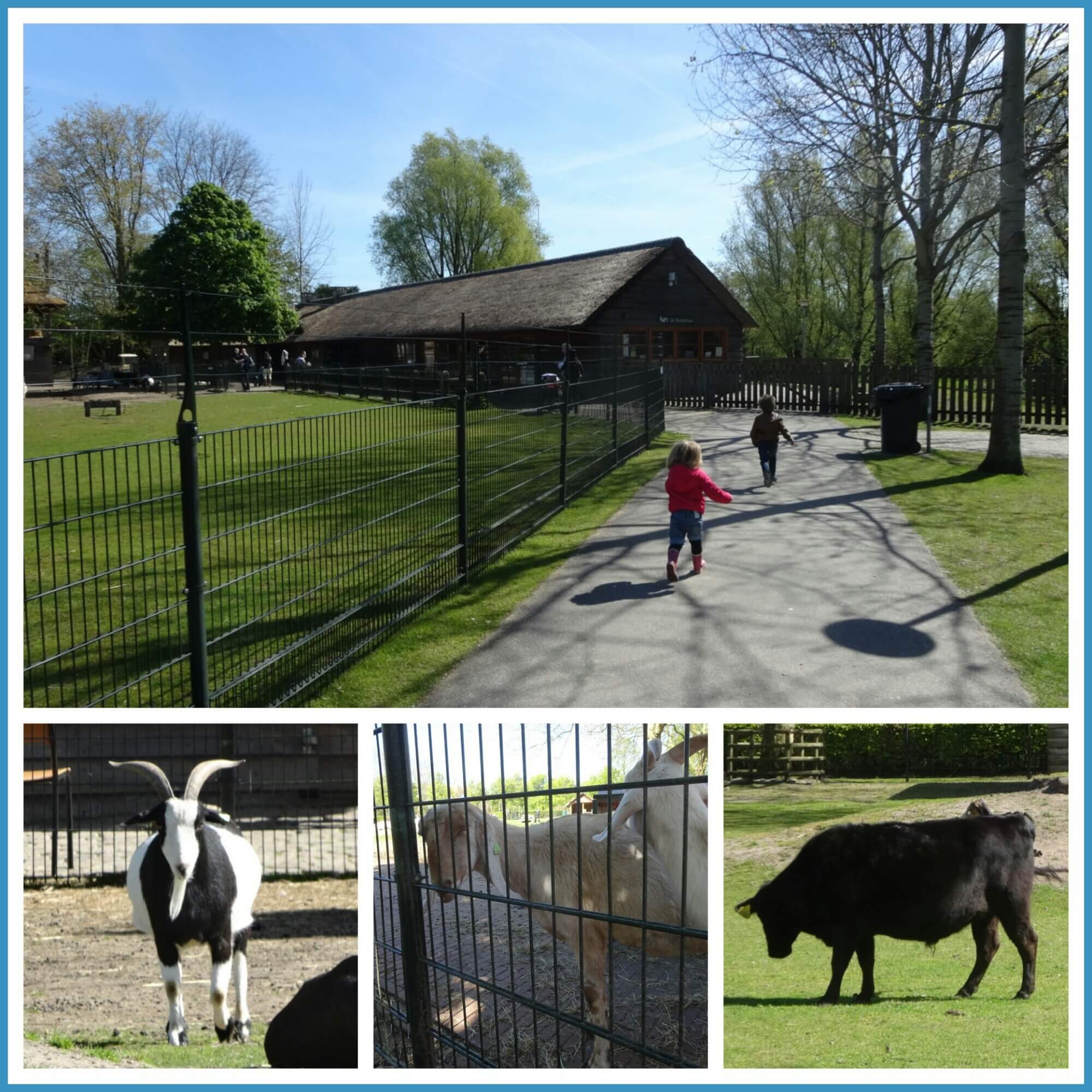 Amstelpark: speeltuin, kinderboerderij, pannenkoek & wandeling aan de rand van Amsterdam - met Thomas de Trein