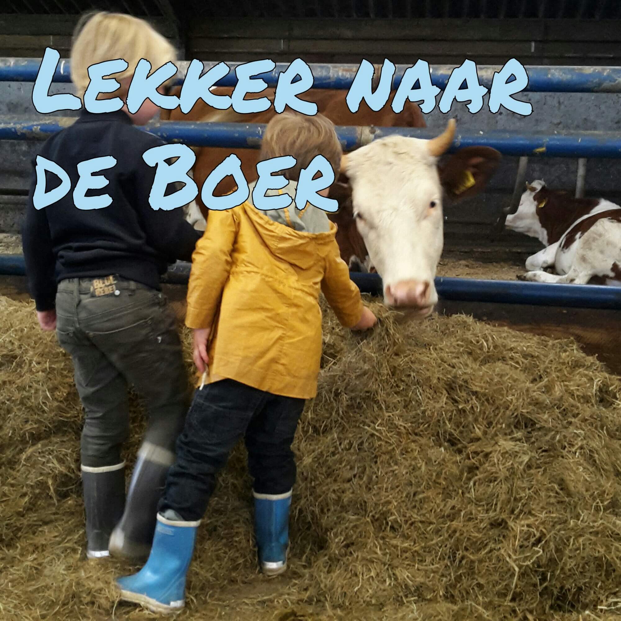 Uitje met kids: lekker naar de boer