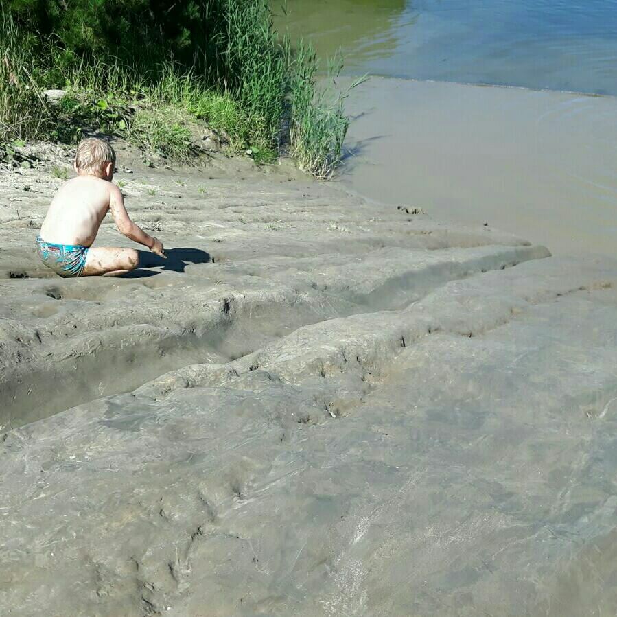 De Wildste Tuin: park met zwemstrandjes, strandtent, camping, natuurspeeltuin en bamboejungle