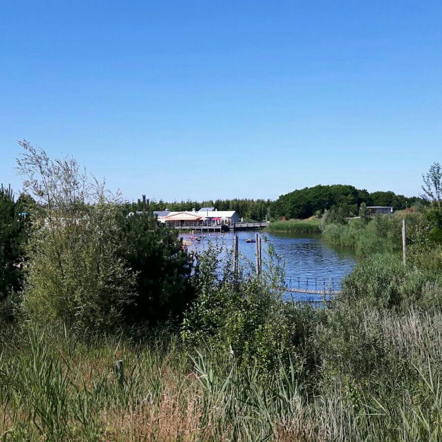 De Wildste Tuin: park met zwemstrandjes, strandtent, camping, natuurspeeltuin en bamboejungle