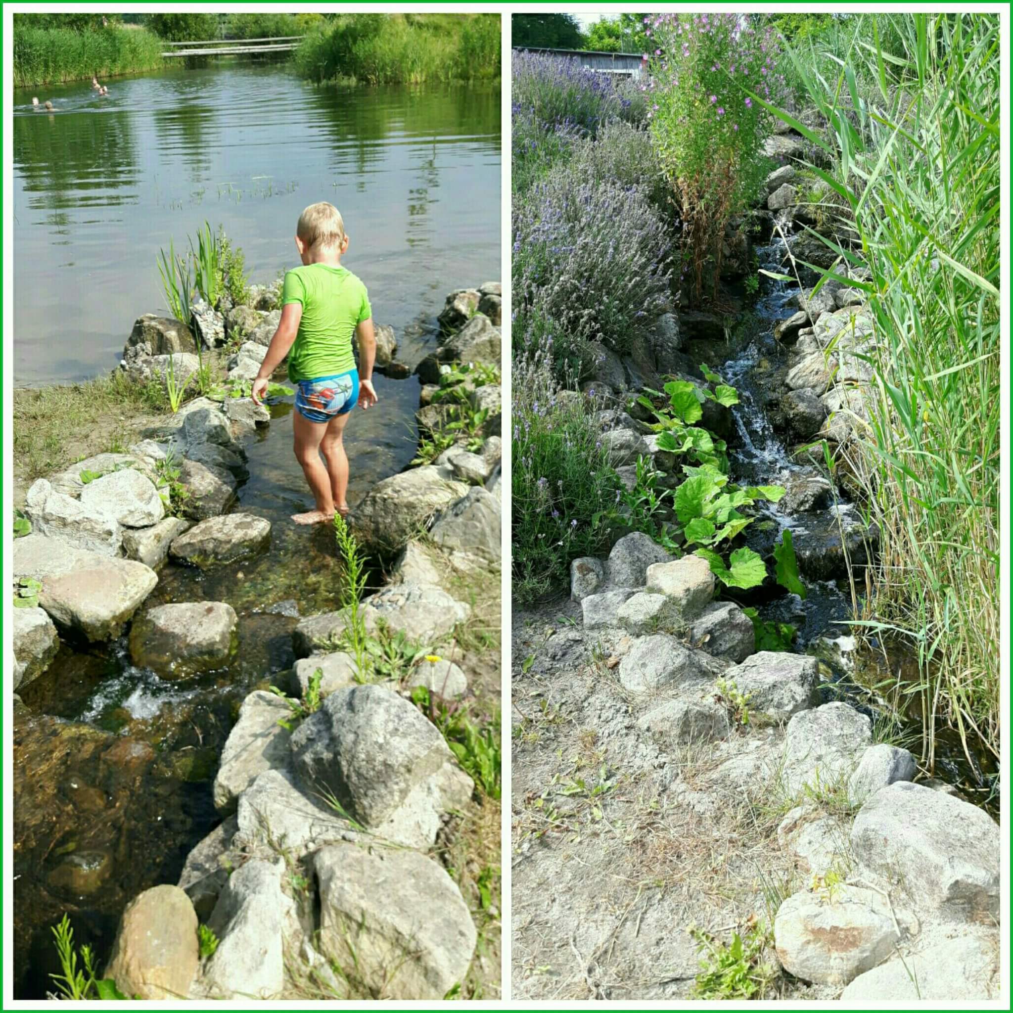 De Wildste Tuin: park met zwemstrandjes, strandtent, camping, natuurspeeltuin en bamboejungle