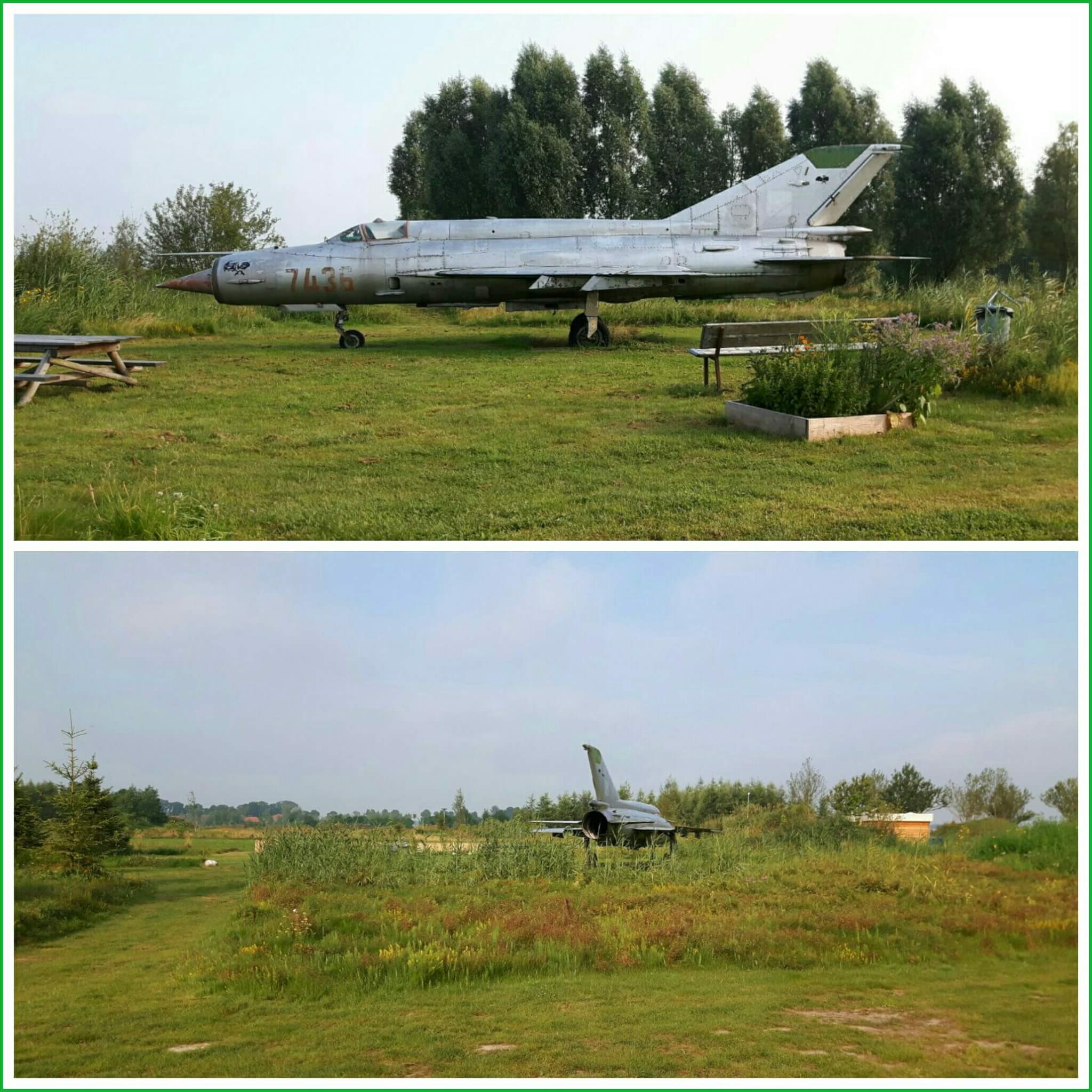 De Wildste Tuin: park met zwemstrandjes, strandtent, camping, natuurspeeltuin en bamboejungle