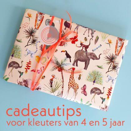 Kleuter verjaardag: cadeau kinderen van 4 jaar of 5 jaar Leuk met