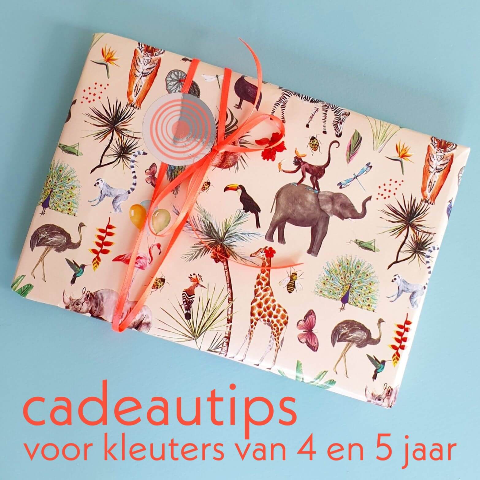 rem zo veel Wanneer Kleuter verjaardag: cadeau ideeën kinderen van 4 jaar of 5 jaar Leuk met  kids