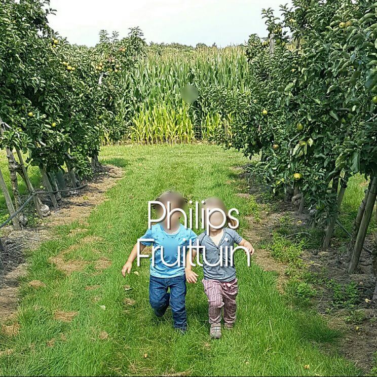 Uitje met kinderen naar de landelijke en industriële Strijp in Eindhoven: speeltuin, industrieel erfgoed, winkelen, pannekoekenhuis én fruittuin