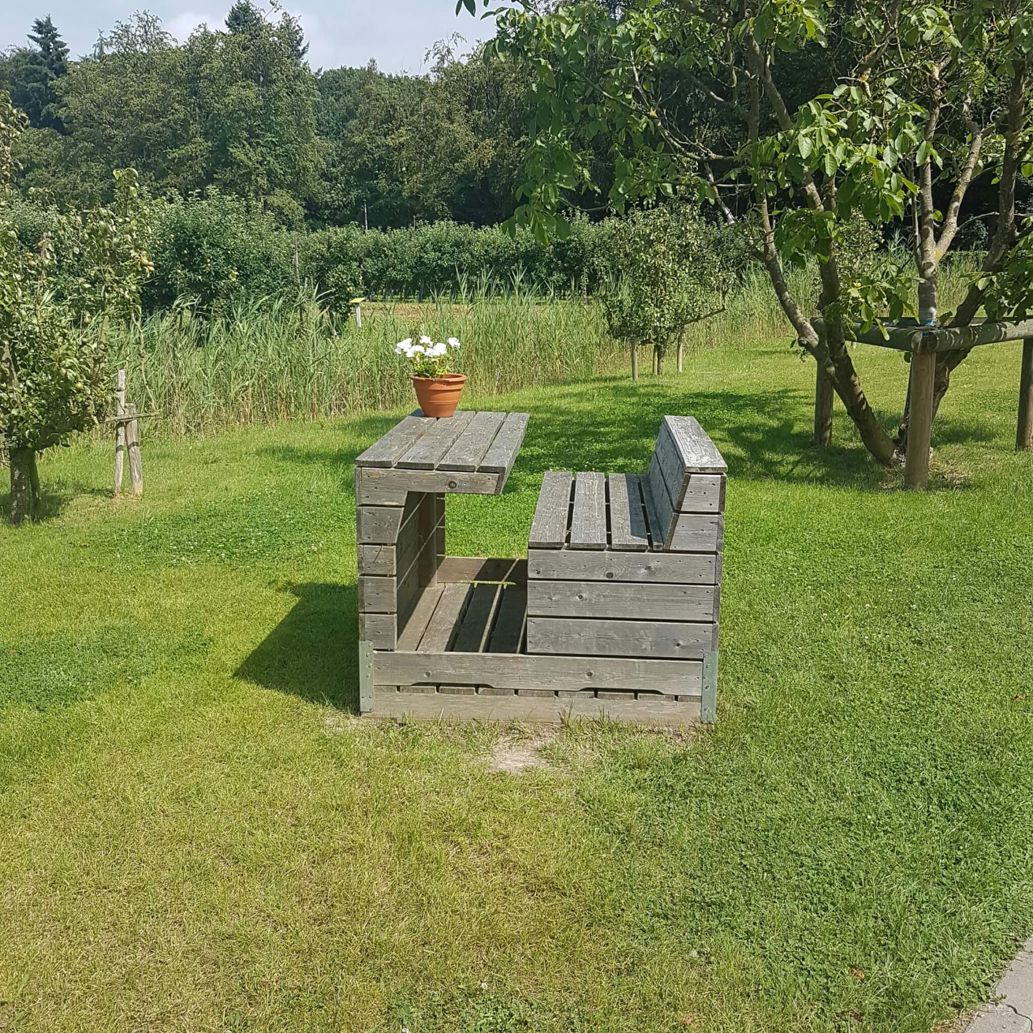 Uitje met kinderen naar de landelijke en industriële Strijp in Eindhoven: speeltuin, industrieel erfgoed, winkelen, pannekoekenhuis én fruittuin
