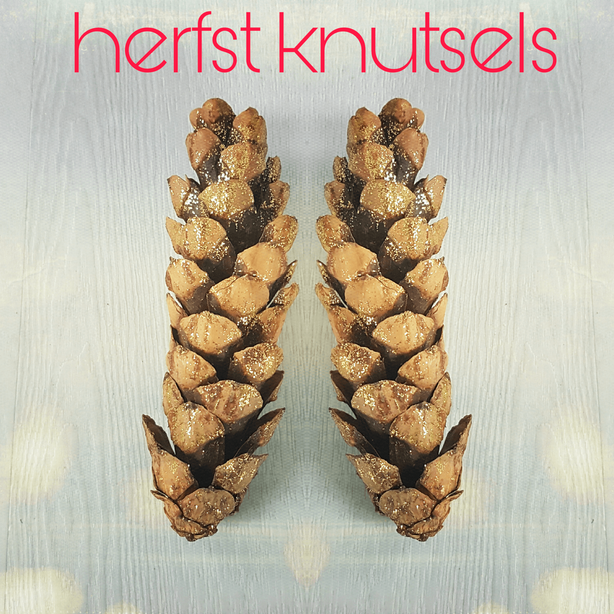 Herfst knutsels samen knutselen als het buiten kouder wordt Herfst knutsels samen knutselen als het buiten kouder wordt