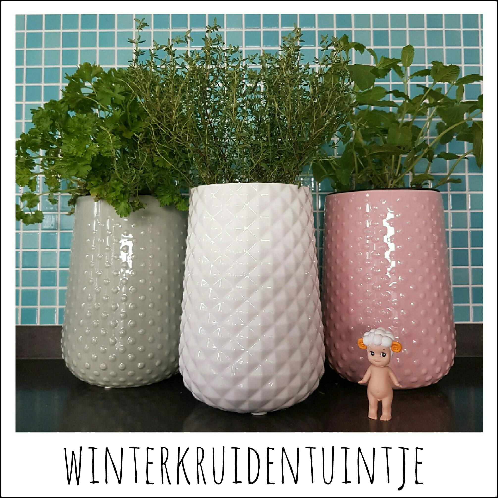 Winterkruidentuintje omdat we de moestuintjes missen