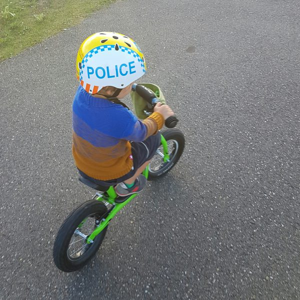 Loopfiets volwassenen Next Step en Long Walk van Rollick ~ Loopfiets ~ Lopen ~ Mobiliteit ~ Hulpmiddelen ~ : Oplossingen & hulpmiddelen