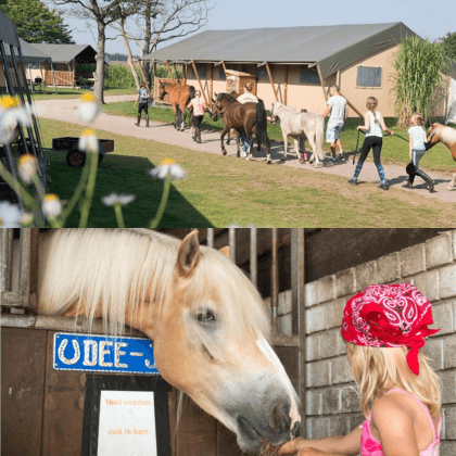 Een overzicht van heel veel leuke idyllische campings in Nederland met kids #leukmetkids FarmCamps Breehees in Goirle bij Tilburg, Noord Brabant