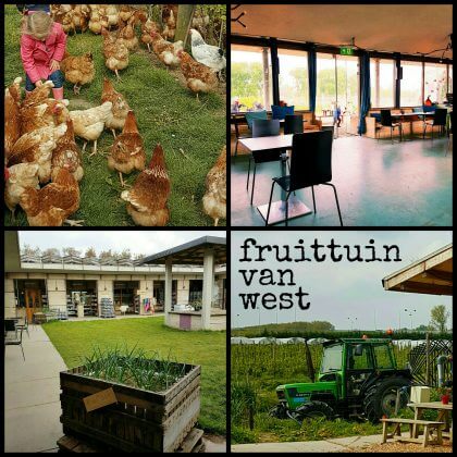 fruittuin van west