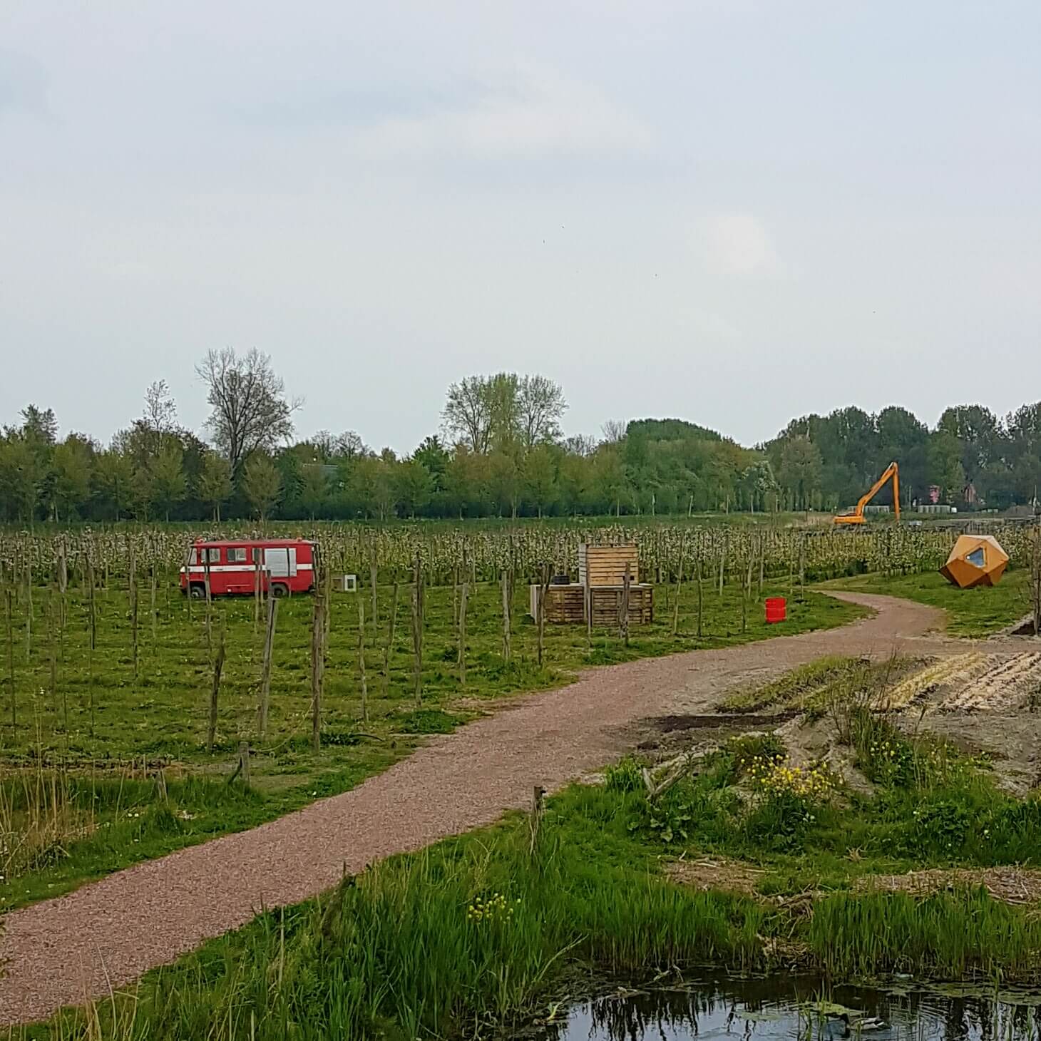 Boerderij in Amsterdam: de Fruittuin van West Boerderij in Amsterdam: de Fruittuin van West