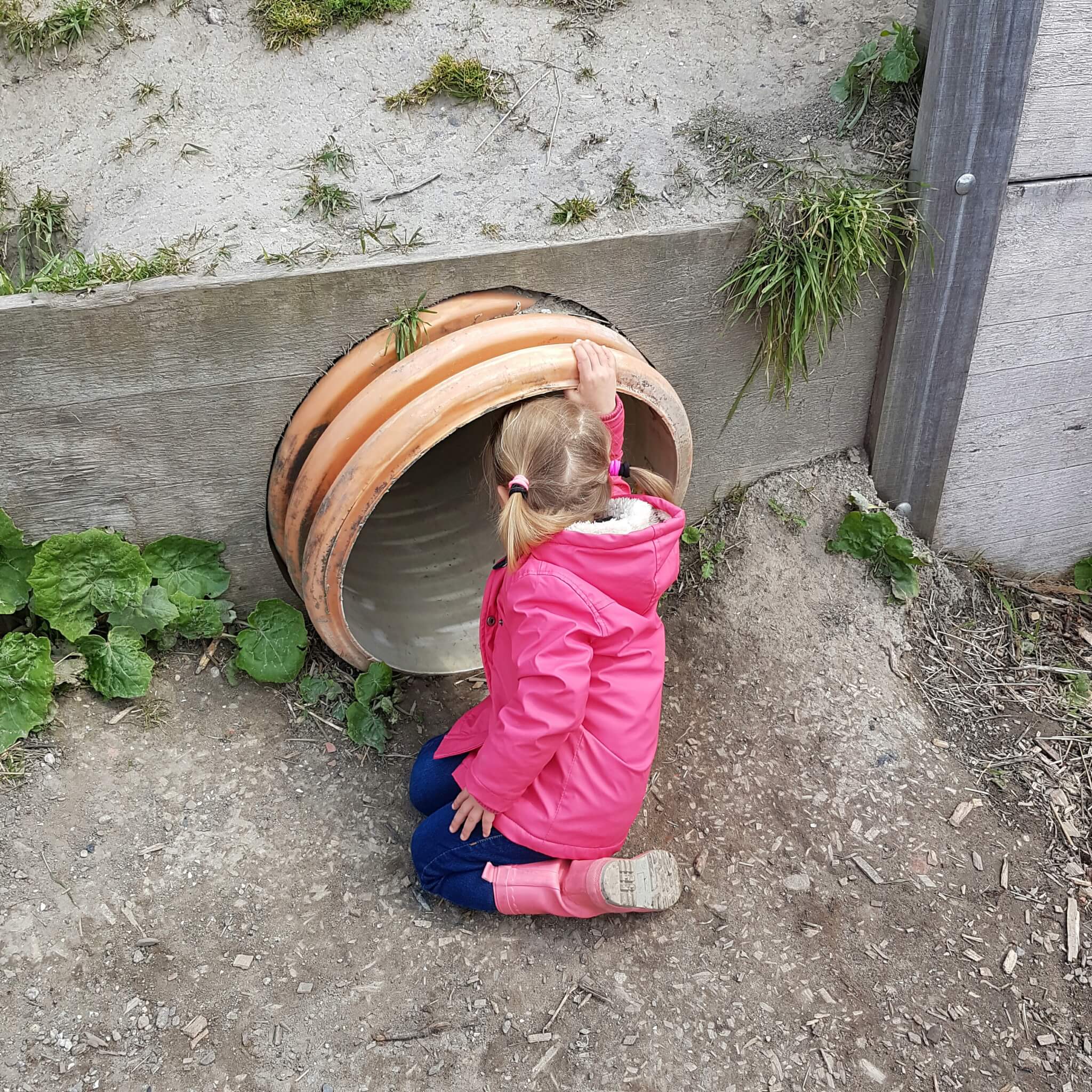 Boerderij in Amsterdam: de Fruittuin van West