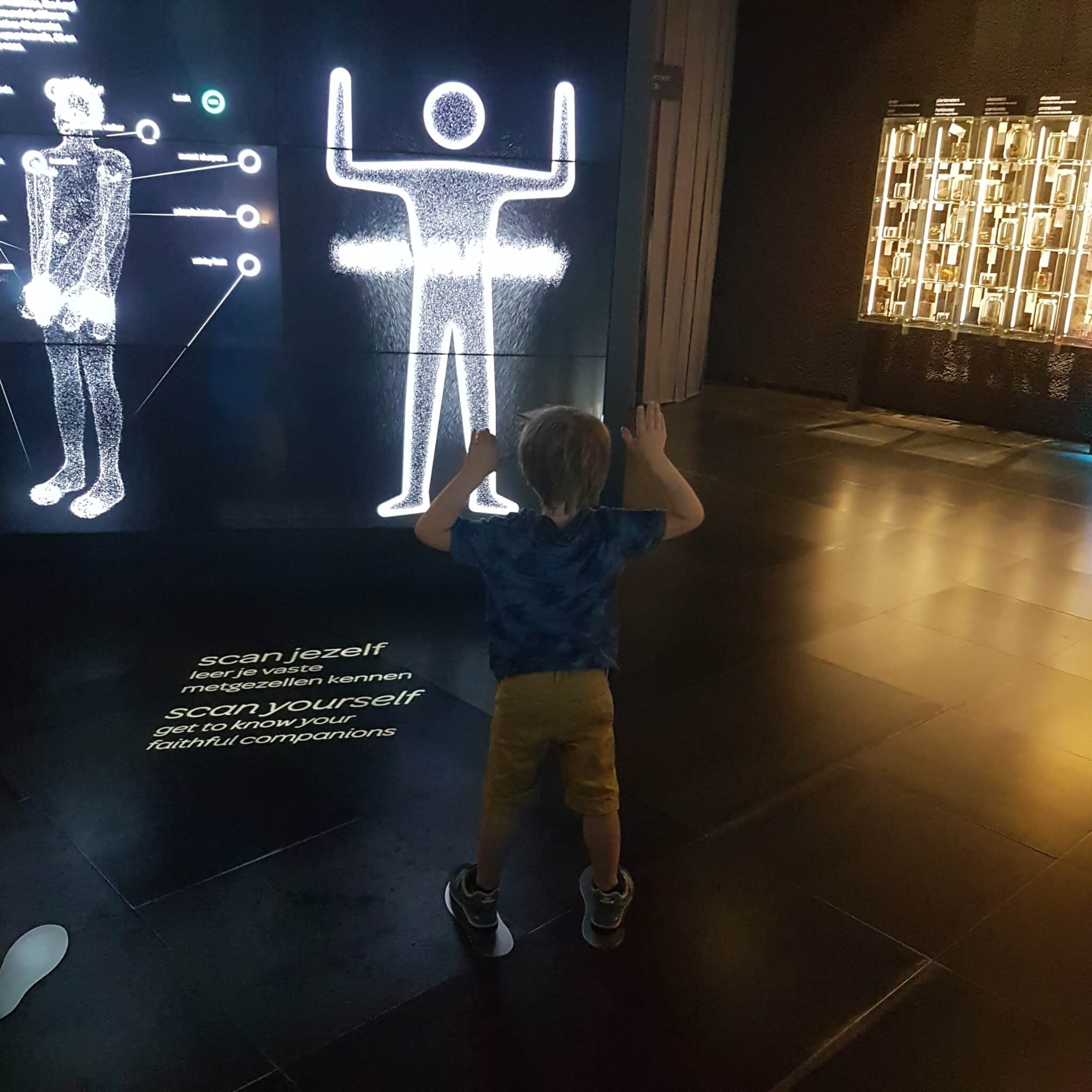 Uitje met kids: dierentuin Artis en Micropia in Amsterdam Uitje met kids: dierentuin Artis en Micropia in Amsterdam