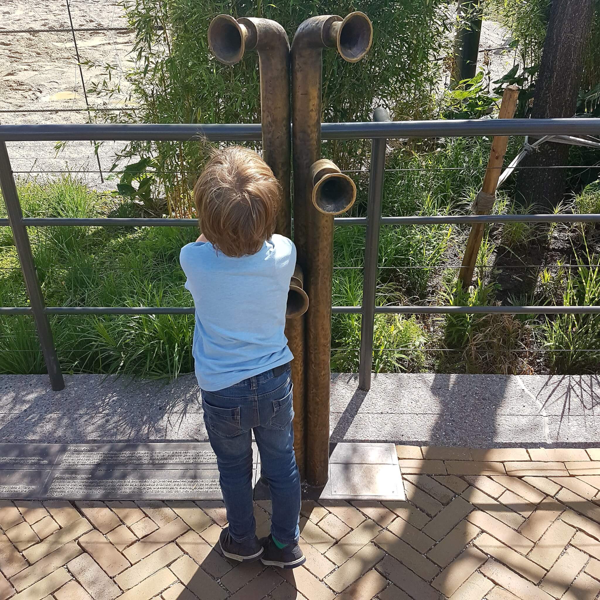 Amsterdam met kinderen: dierentuin Artis - de olifanten