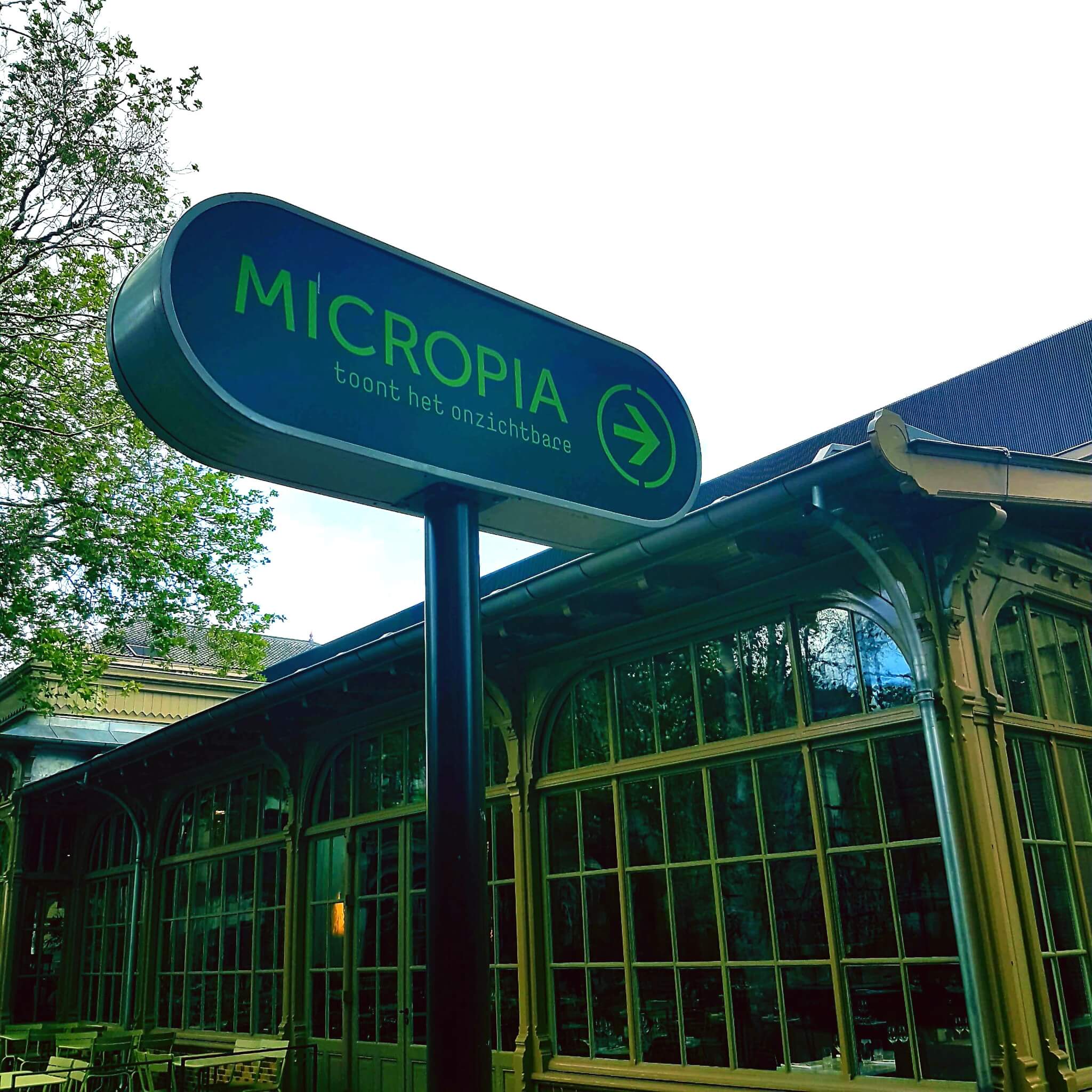 Uitje met kids: dierentuin Artis en Micropia in Amsterdam Uitje met kids: dierentuin Artis en Micropia in Amsterdam