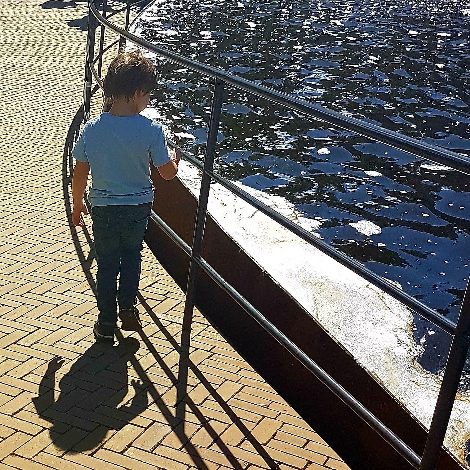 Uitje met kids: dierentuin Artis en Micropia in Amsterdam Uitje met kids: dierentuin Artis en Micropia in Amsterdam
