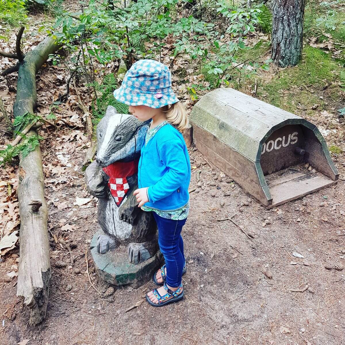 Camping Hartje Groen in Brabant bij Schaik Oss Den Bosch en Nijmegen