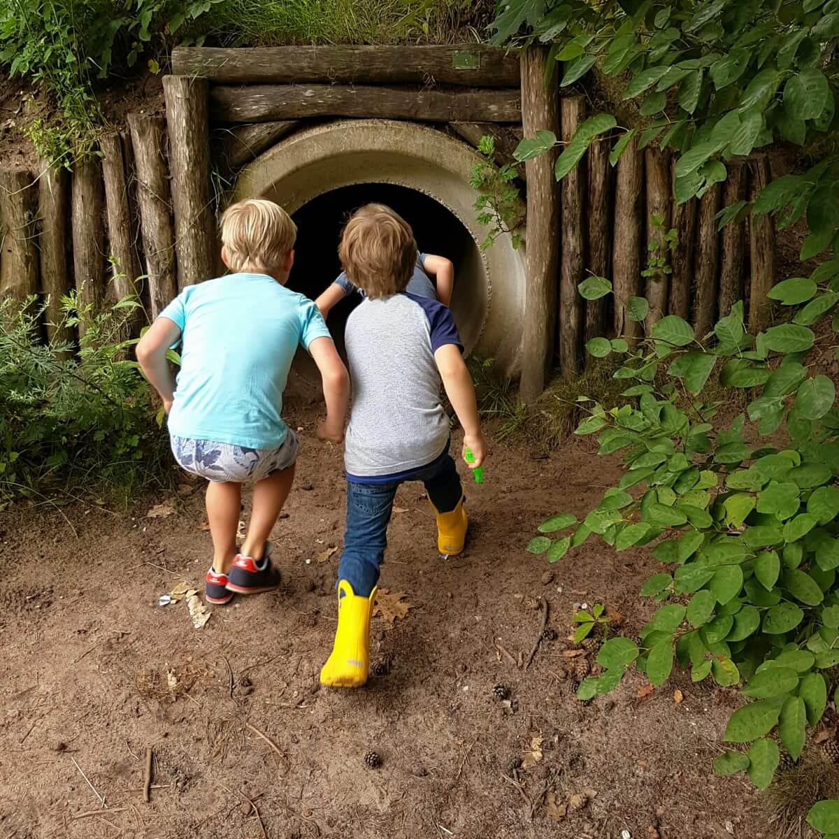 Camping Hartje Groen in Brabant bij Schaik Oss Den Bosch en Nijmegen