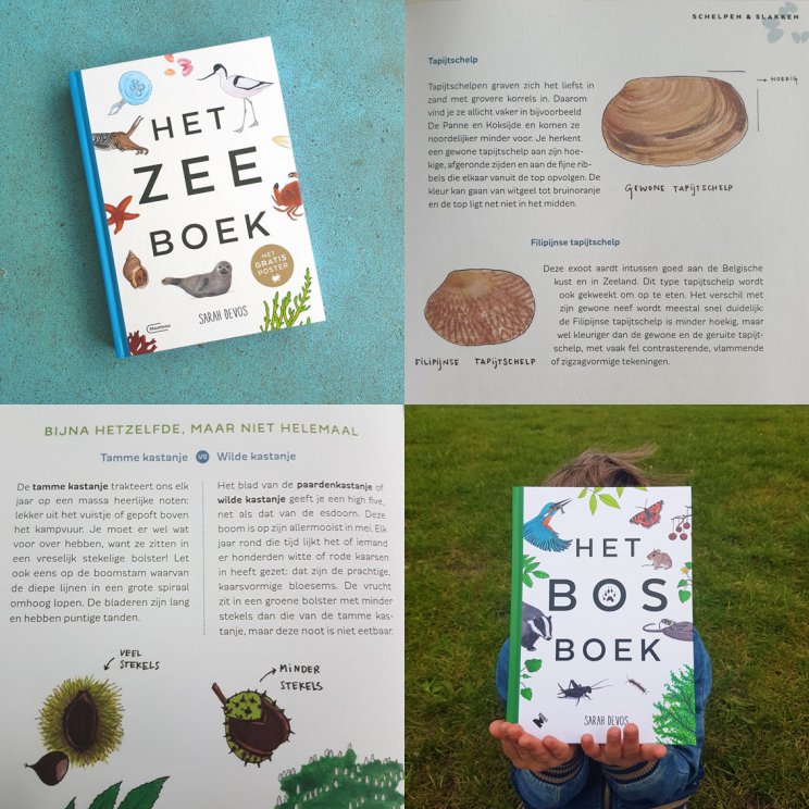 Kinderboeken over de natuur: leuke cadeau ideeën voor kinderen. Ga je op vakantie naar het bos of de zee, dan zijn het Bosboek en het Zeeboek leuk om mee te nemen.