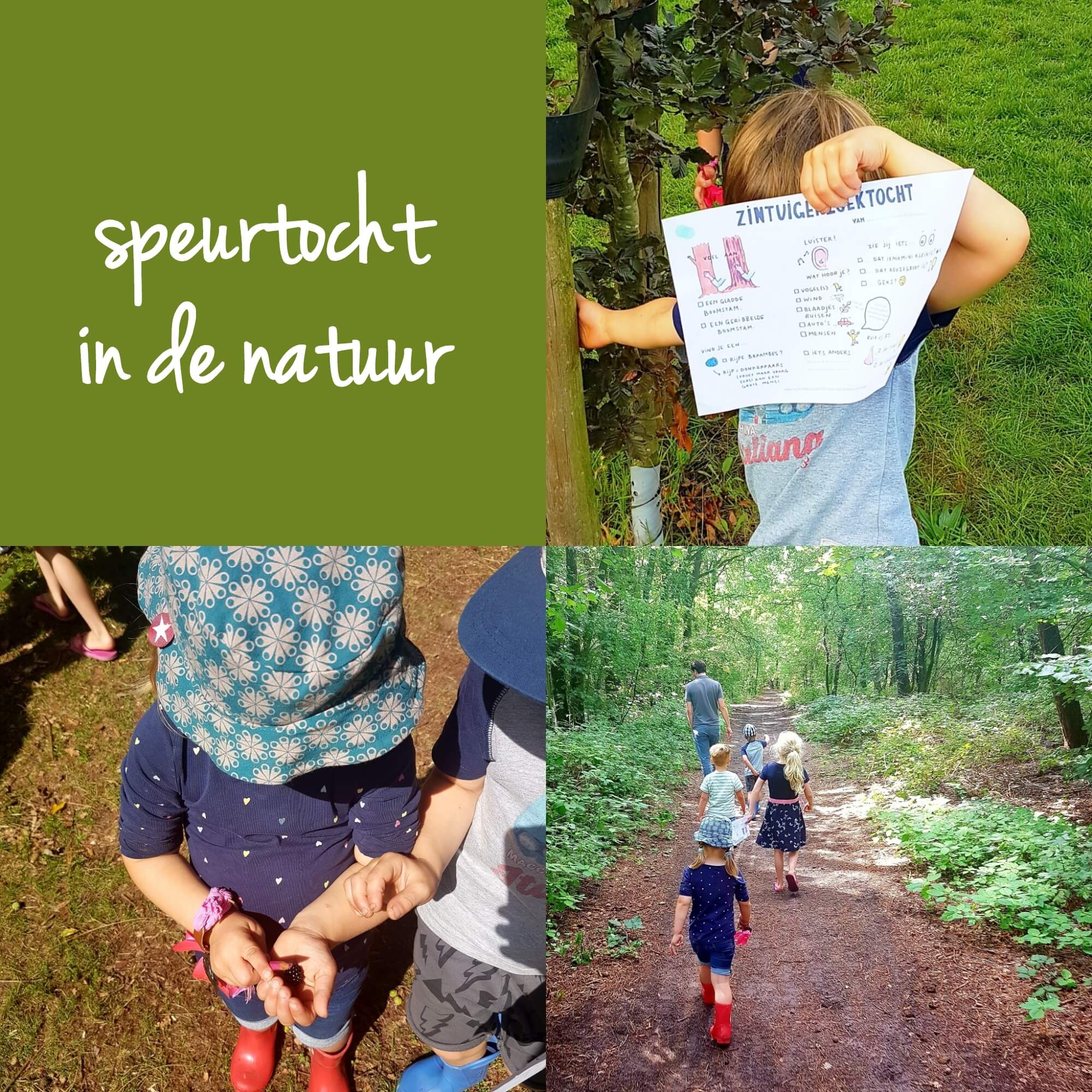 Zondag Bosdag: blog met inspiratie en speurtochten om de natuur te ontdekken met kids