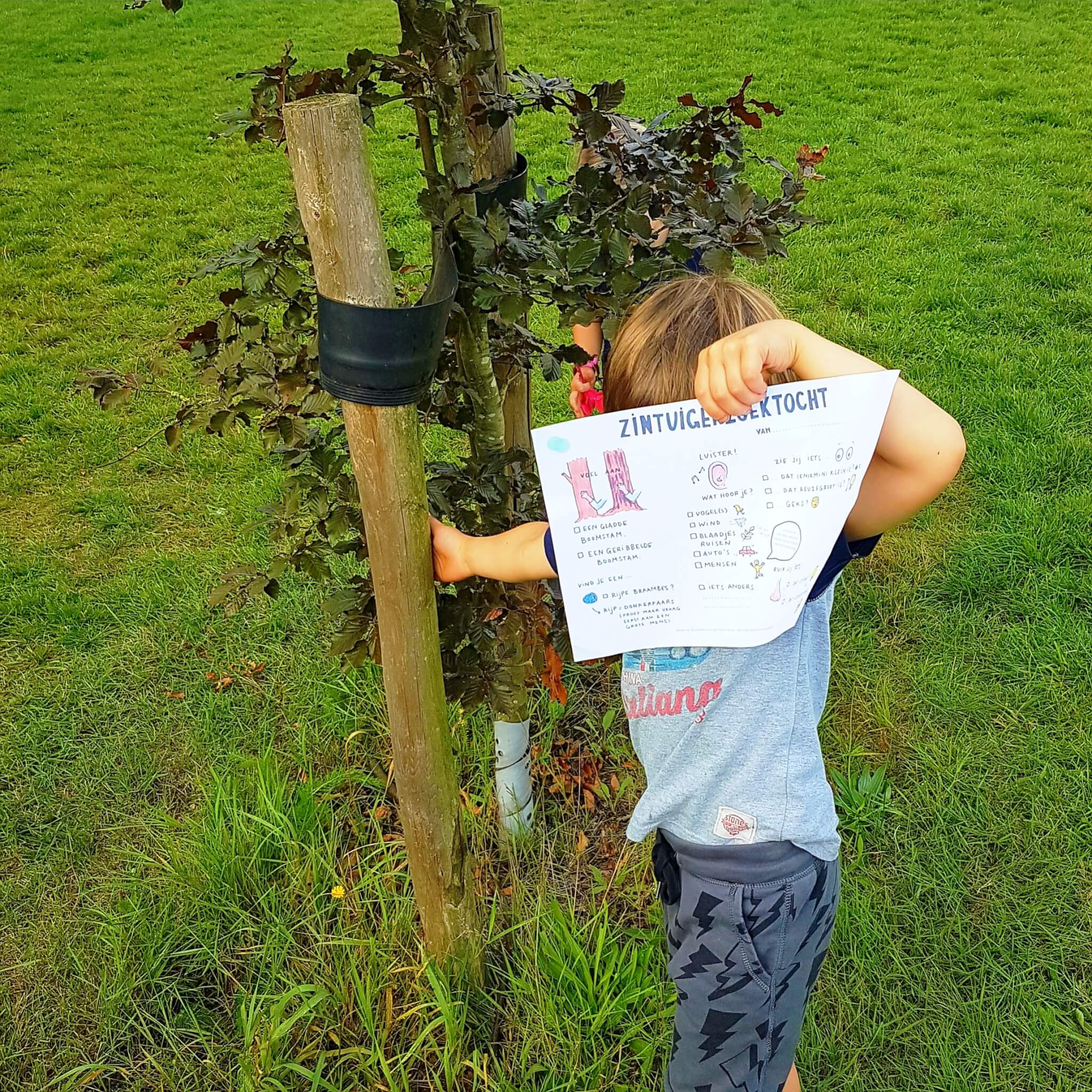 Zondag Bosdag: blog met inspiratie en speurtochten om de natuur te ontdekken met kids