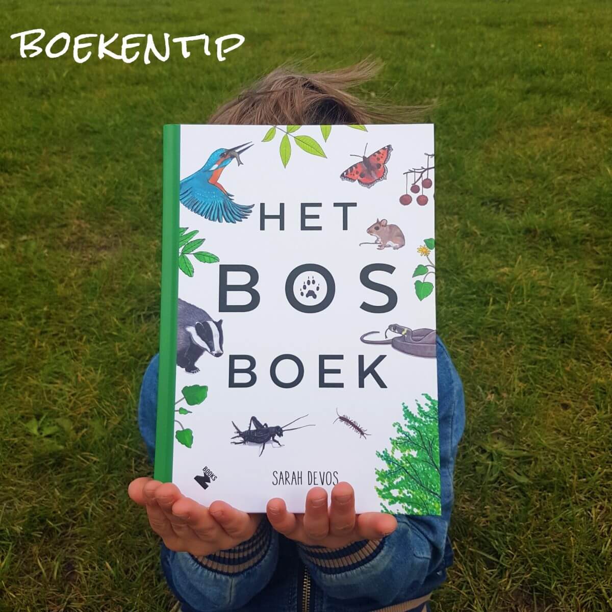 Boekentip: het Bosboek met weetjes over het bos. Vind jij het ook heerlijk om het bos in te gaan, maar weet je er eigenlijk veel te weinig van? Dan is het Bosboek een heel fijn boek, vol met leuke weetjes, praktische tips en mooie tekeningen van het bos.