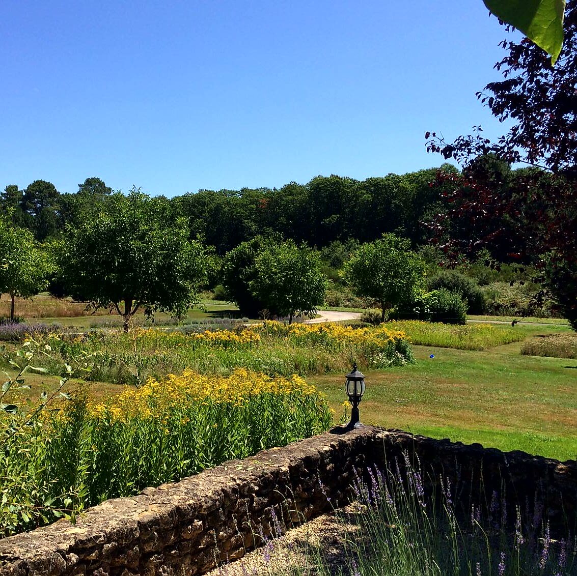 Rastaillou: een klein paradijs voor kinderen en hun ouders in de Dordogne - camping, gîtes, gastenkamers, huurtenten, table d'hôtes Perigord Frankrijk