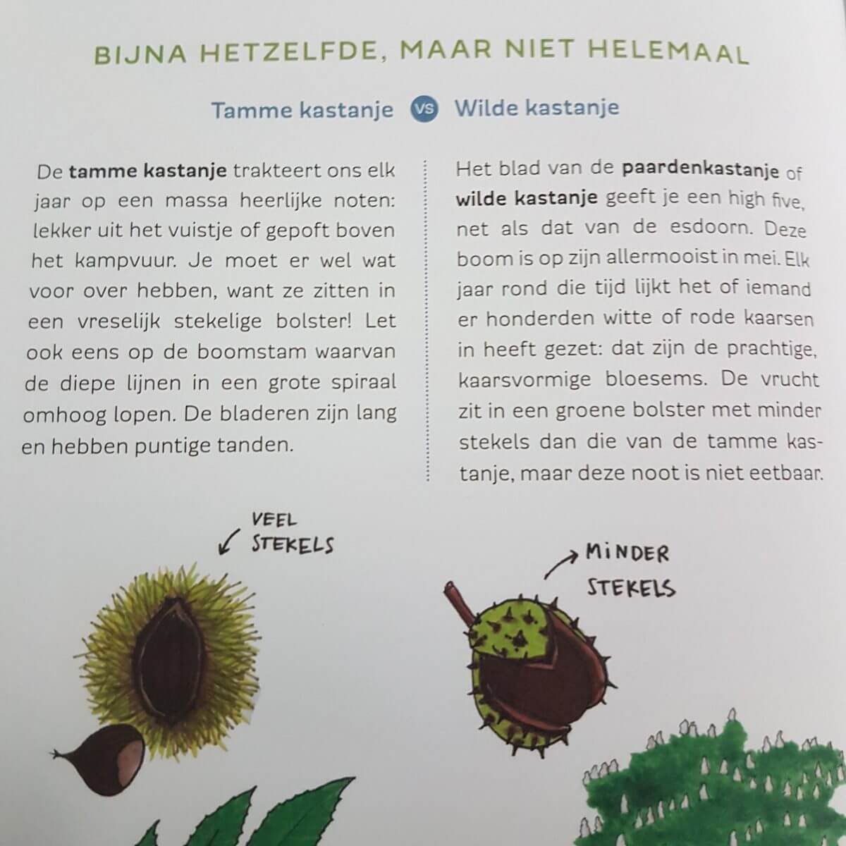 Boekentip: het Bosboek